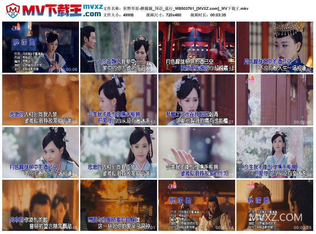 狂野草原-醉朦胧_国语_流行_MB503761